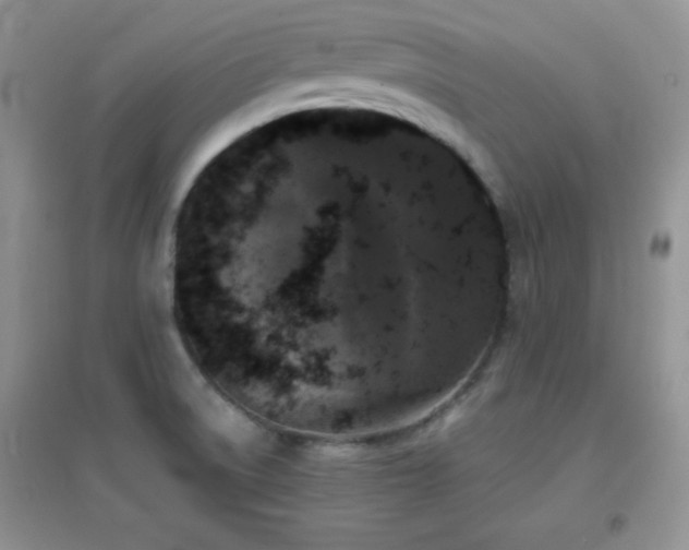 X0000097001522200802081433