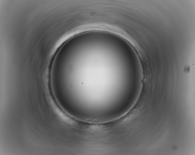 X0000097001523200802081433