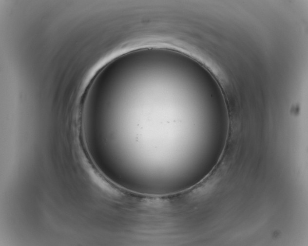 X0000097001526200802081433