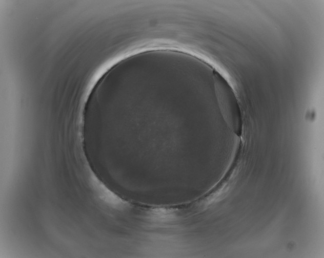 X0000097001527200802081433