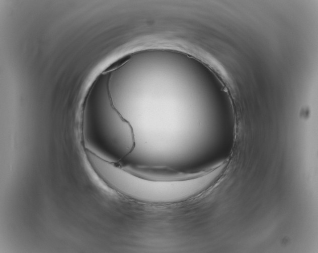 X0000097001528200802081433