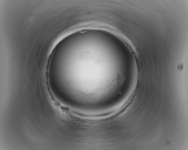 X0000097001530200802081433
