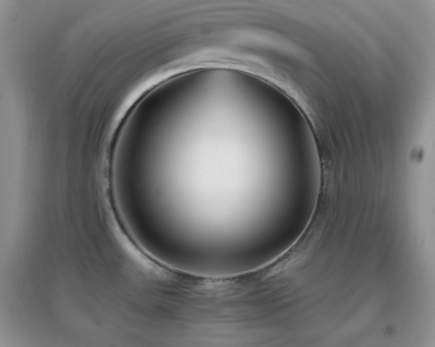 X0000097001531200802081433