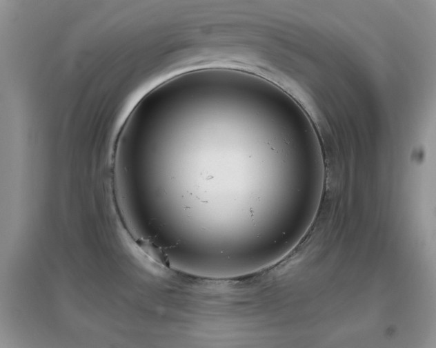 X0000097001532200802081433