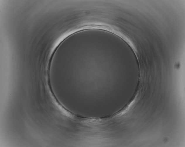 X0000097001533200802081433