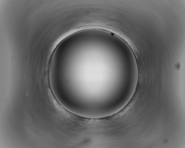 X0000097001534200802081433