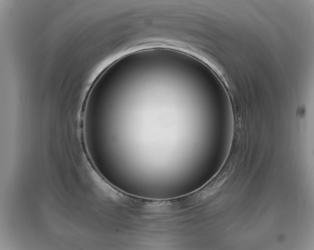 X0000097001535200802081433