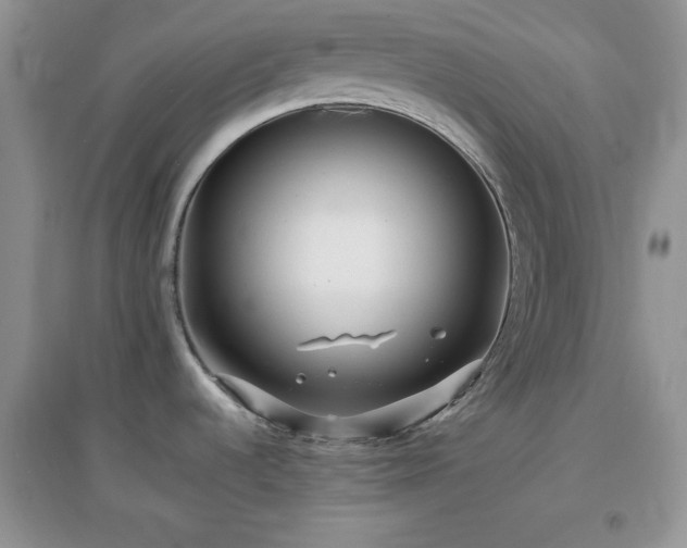 X0000097001536200802081433