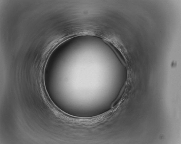 X0000097000001200802151424