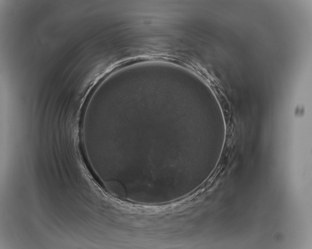 X0000097000002200802151424