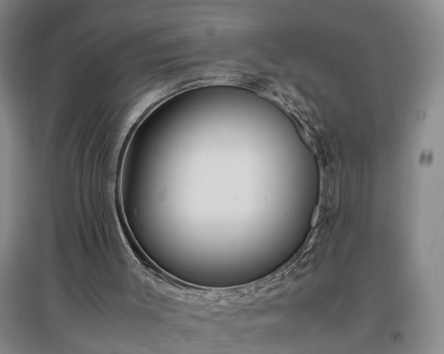 X0000097000003200802151424