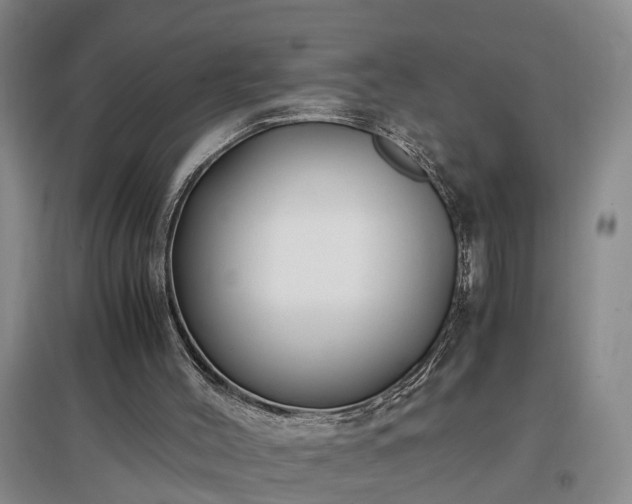 X0000097000004200802151424