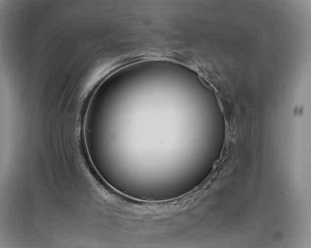 X0000097000005200802151424