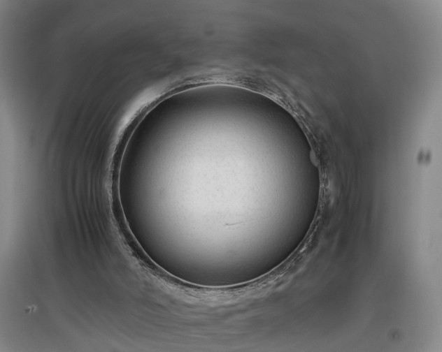 X0000097000006200802151424