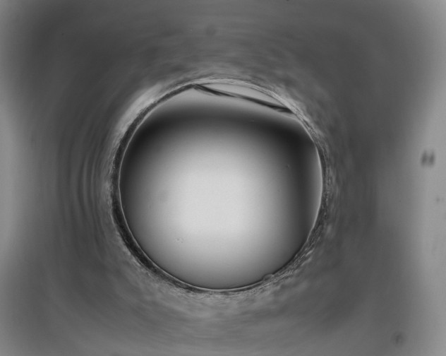 X0000097000007200802151424