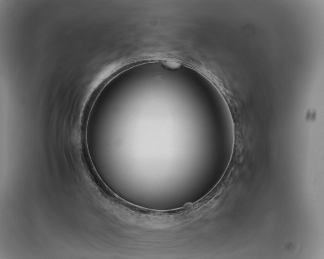 X0000097000008200802151424