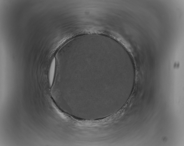 X0000097000009200802151424