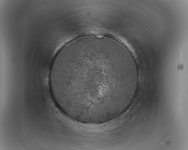 X0000097000010200802151424