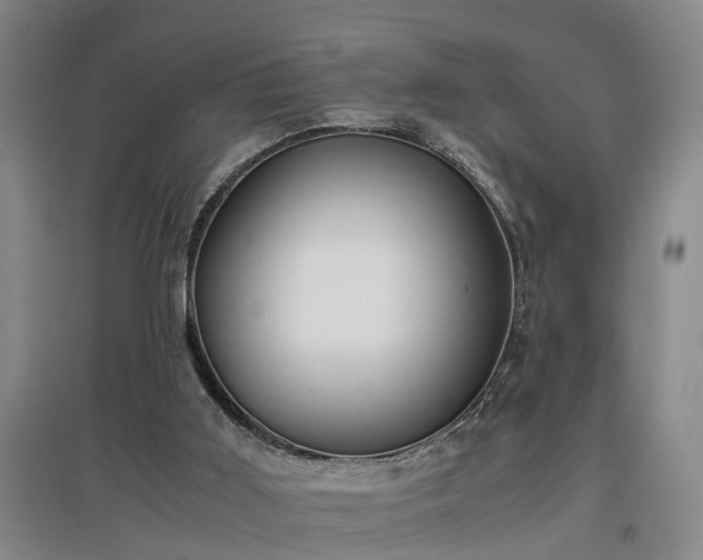 X0000097000011200802151424