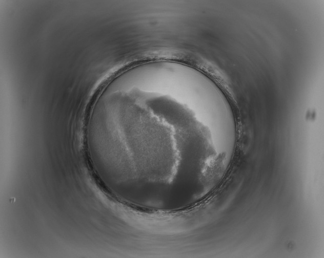 X0000097000012200802151424