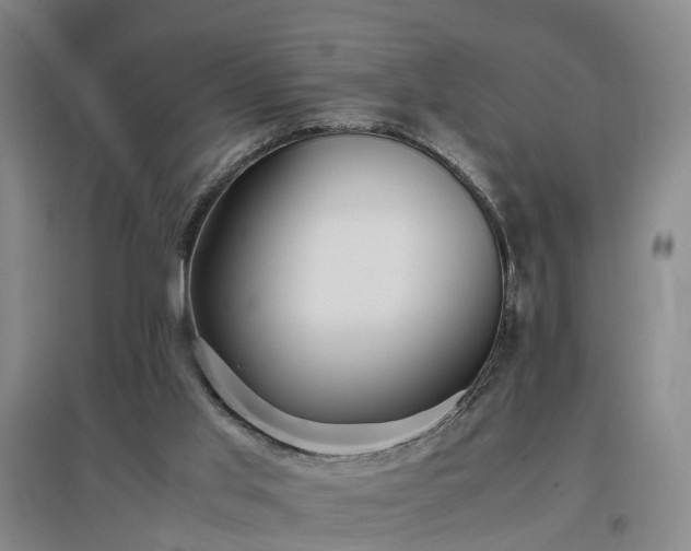 X0000097000013200802151424