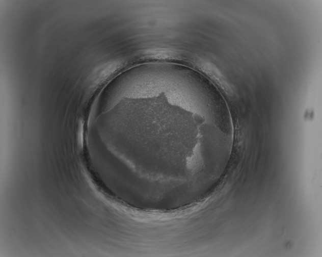 X0000097000014200802151424