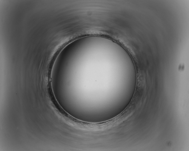 X0000097000015200802151424