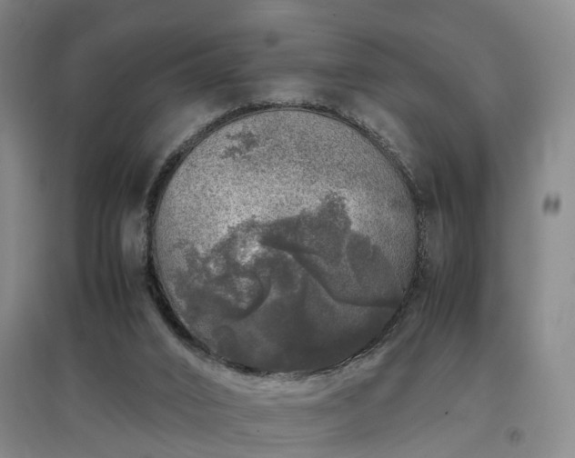 X0000097000016200802151424