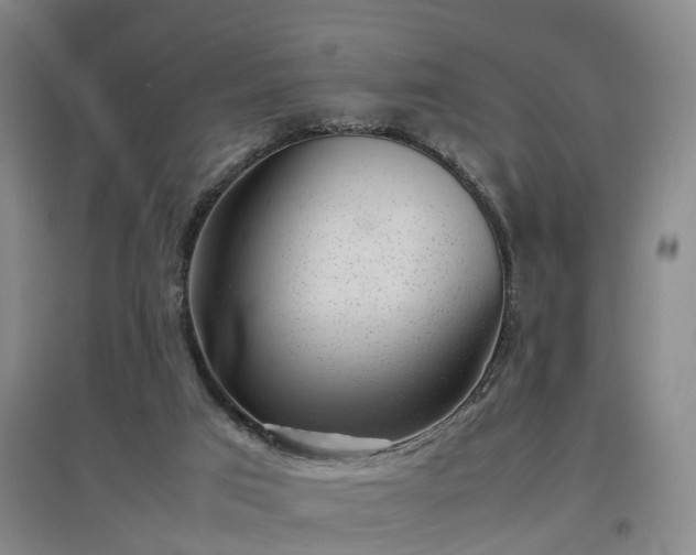 X0000097000017200802151424