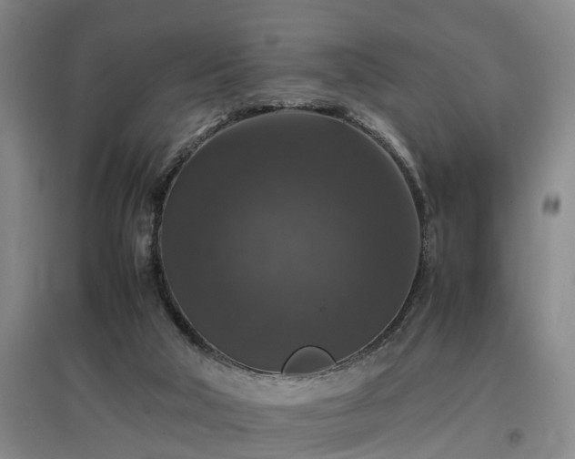 X0000097000018200802151424