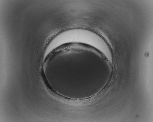 X0000097000019200802151424