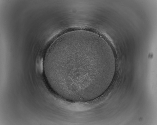 X0000097000020200802151424