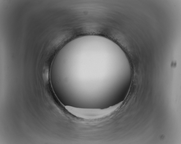 X0000097000021200802151424