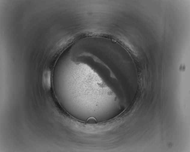 X0000097000022200802151424