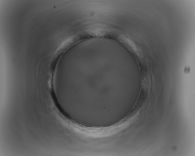 X0000097000023200802151424