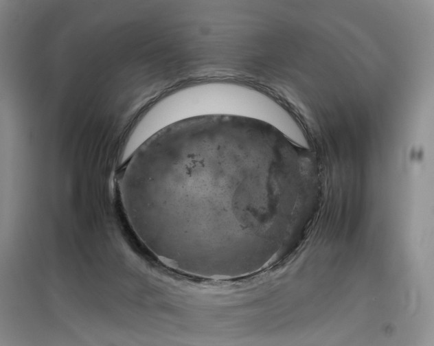 X0000097000024200802151424