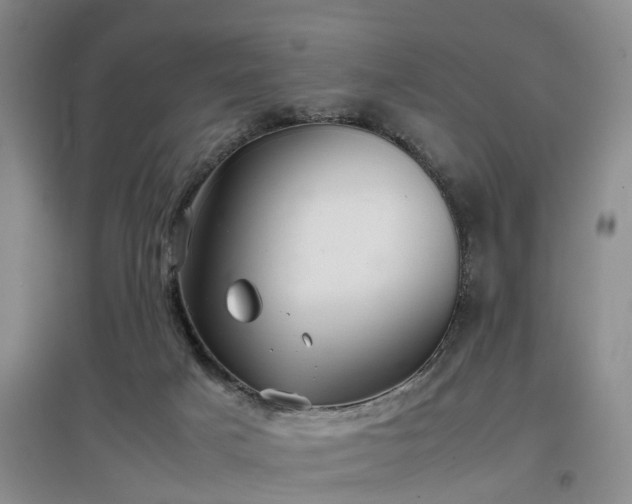 X0000097000025200802151424