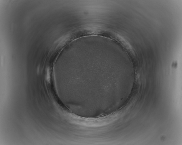 X0000097000026200802151424