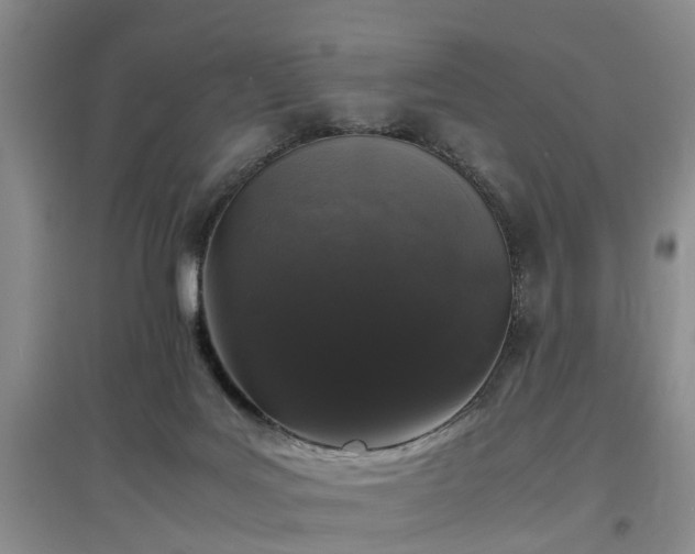 X0000097000027200802151424