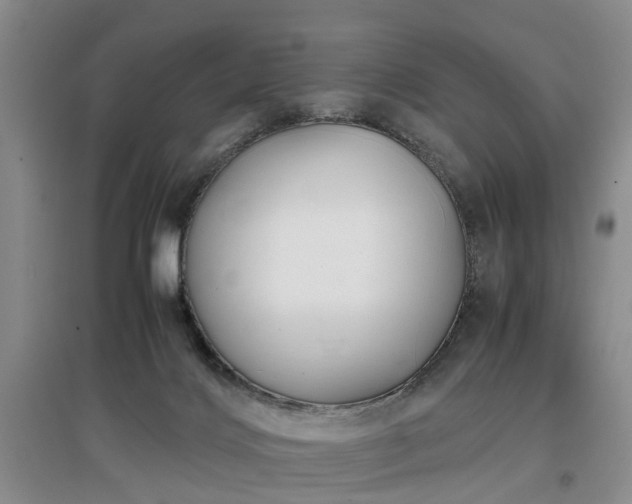 X0000097000028200802151424