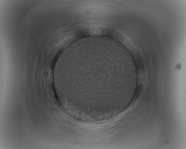 X0000097000029200802151424