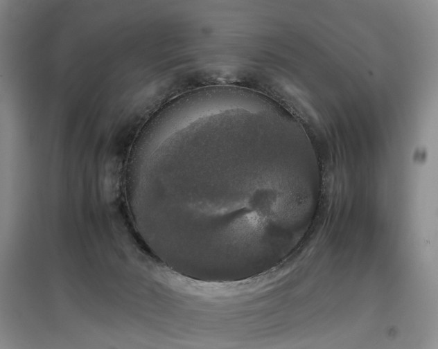 X0000097000030200802151424