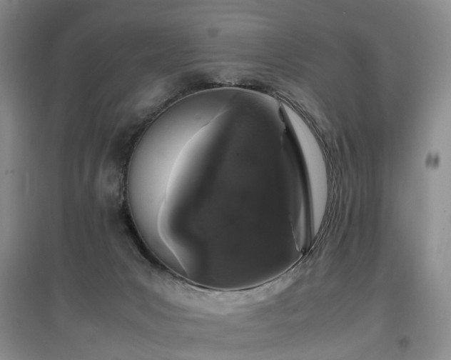 X0000097000031200802151424