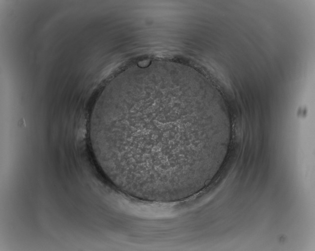 X0000097000032200802151424