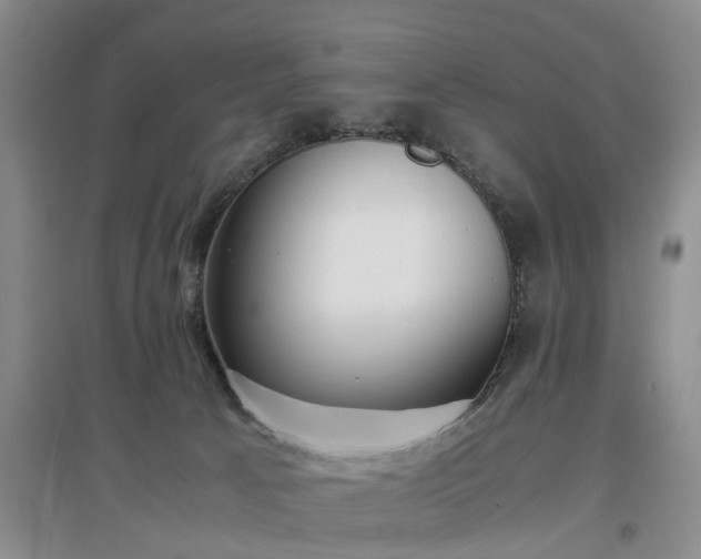 X0000097000033200802151424