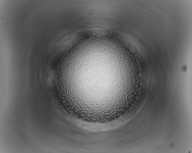 X0000097000034200802151424