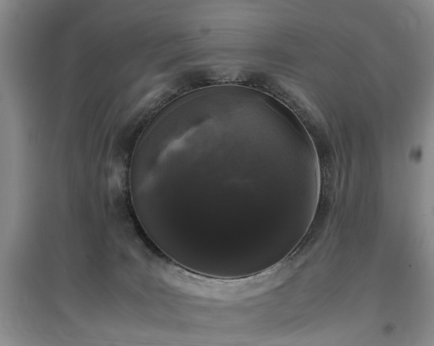 X0000097000035200802151424