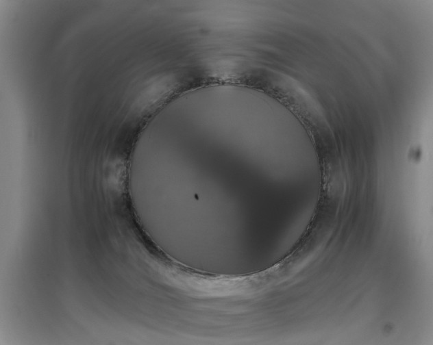 X0000097000036200802151424