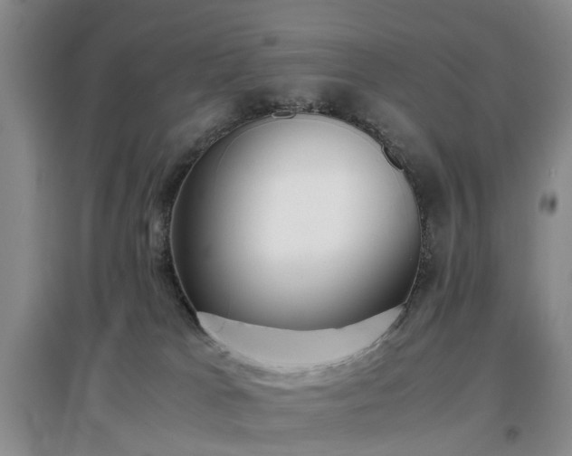 X0000097000037200802151424