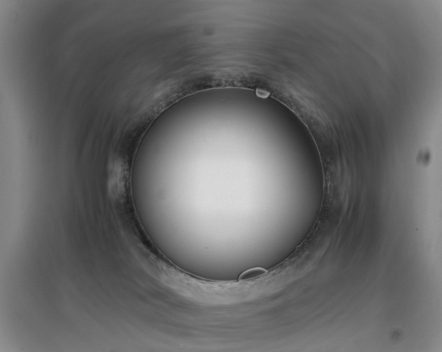 X0000097000038200802151424